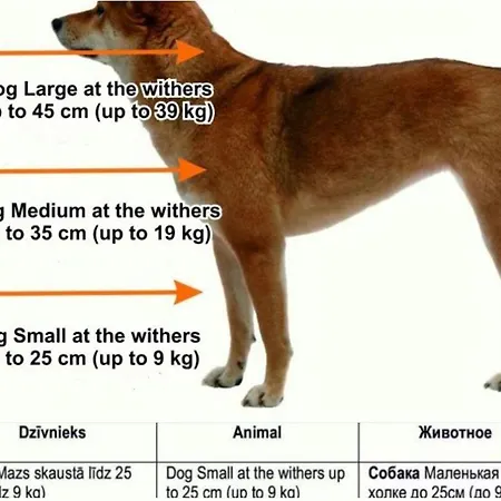 Elegant 2-bedroom Retreat Near Old Town * Riga